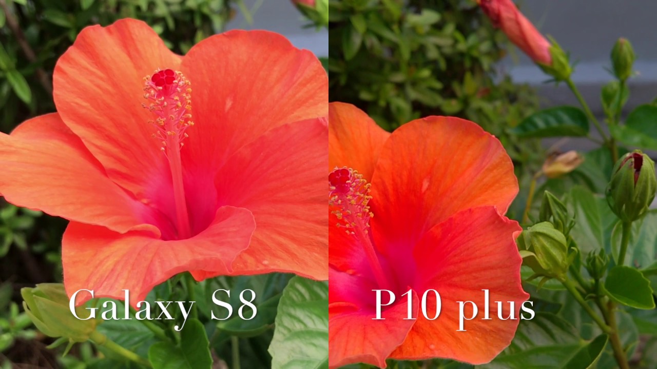 مقارنة بين أفضل كاميرات الهواتف في السوق Samsung S8 و Huawei P10 Plus